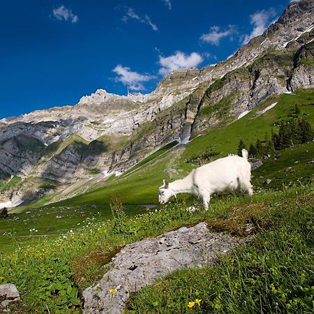 Saentis - Das Hotel Schwagalp Exteriör bild