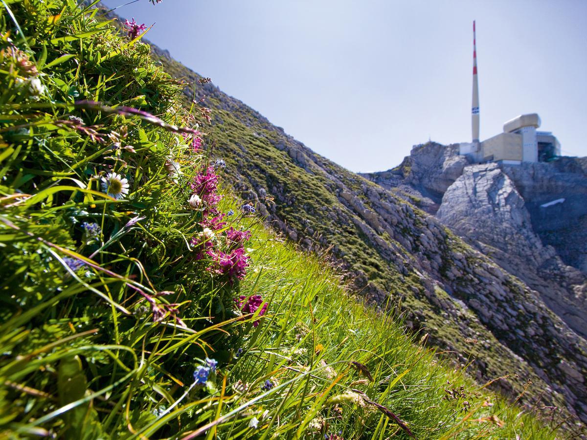 Saentis - Das Hotel Schwagalp Exteriör bild