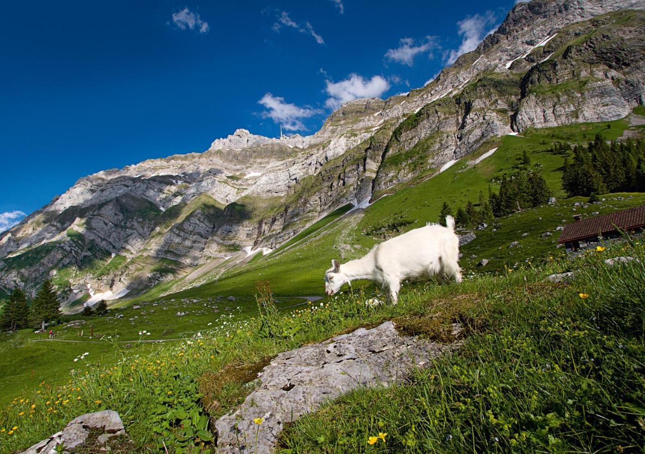 Saentis - Das Hotel Schwagalp Exteriör bild